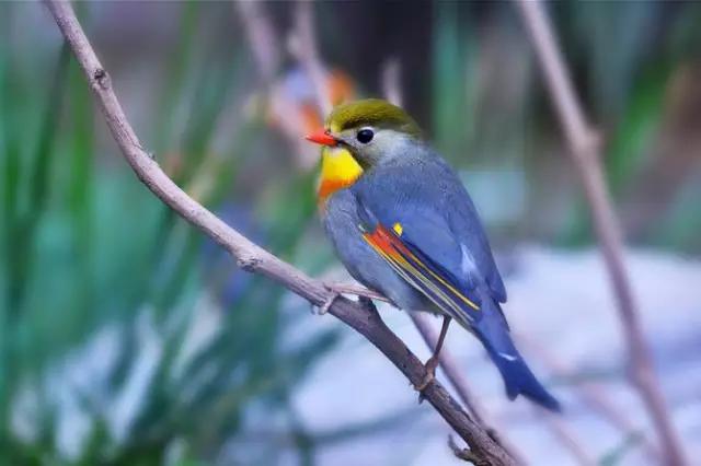 工程廠房燈具 第159頁(yè)