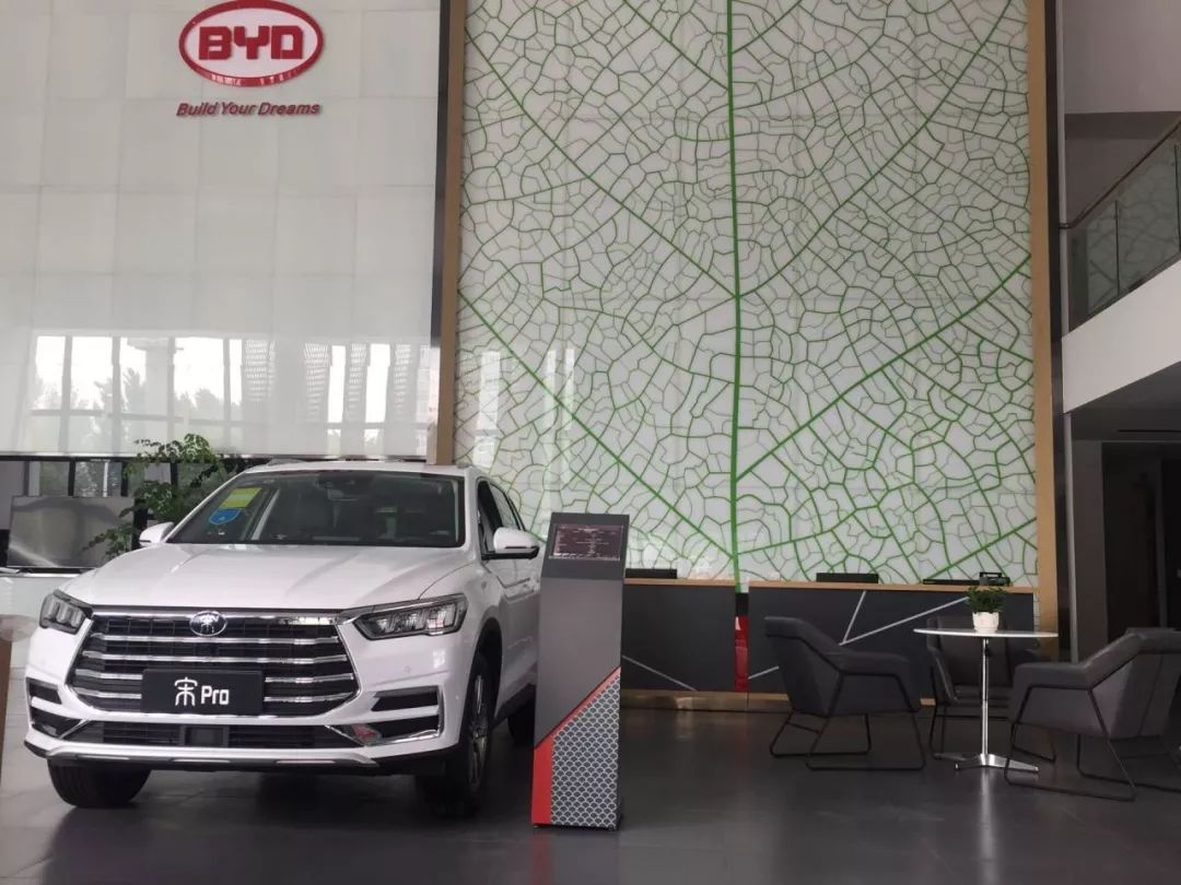 重磅更新，比亞迪最新招聘信息揭秘???