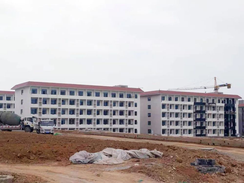 甘谷新聞，大石車禍最新進展及觀點論述深度解析