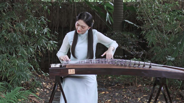 抖音最新琵琶演奏，古典與現(xiàn)代的完美融合之美