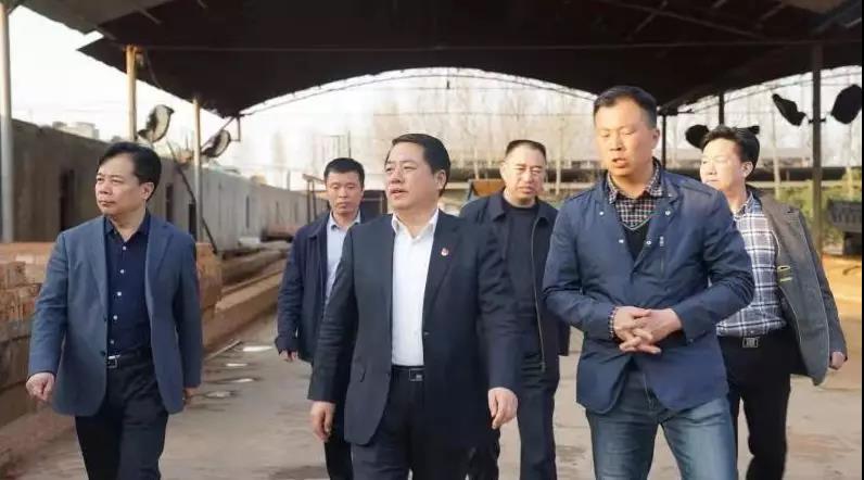 商丘王仲田最新動(dòng)態(tài)，探索自然美景的旅行，尋求內(nèi)心平和之旅