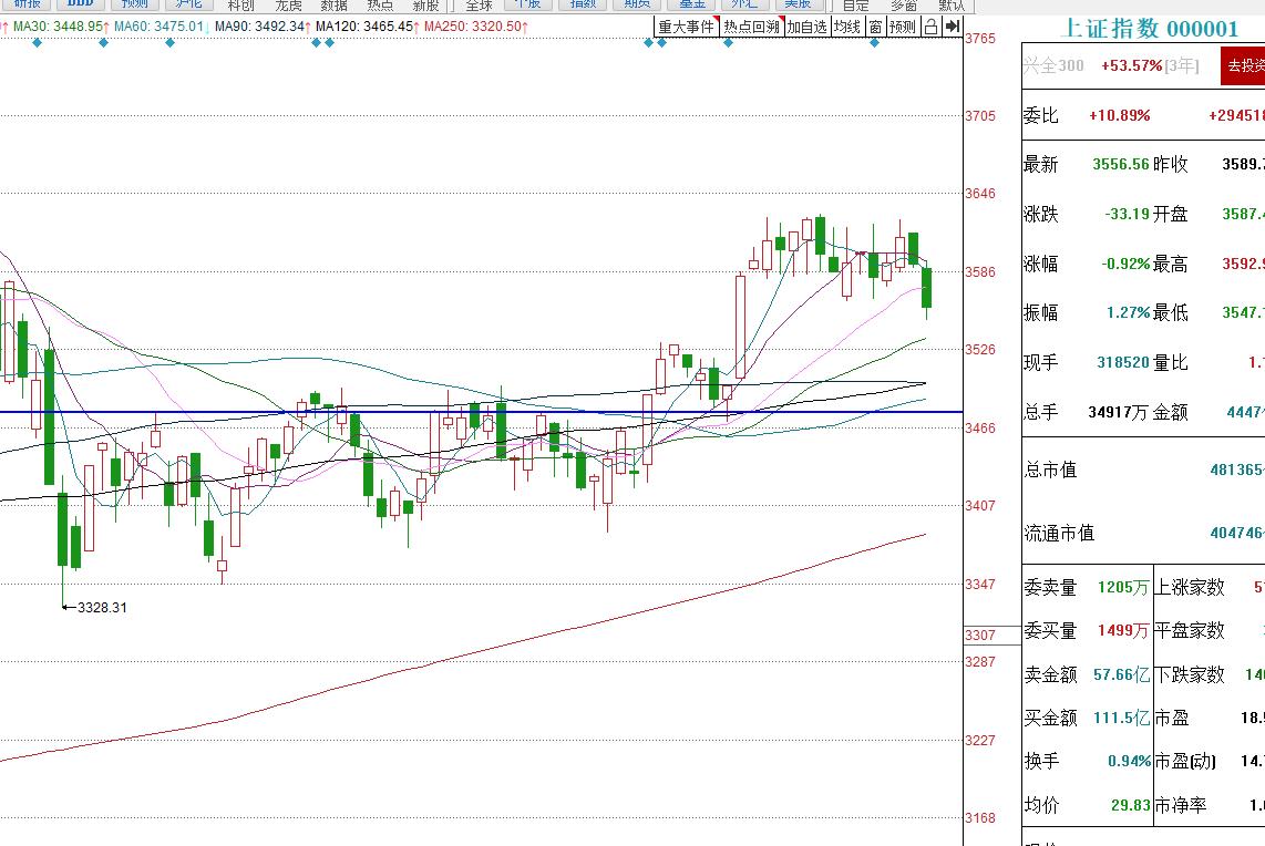 揭秘6月5日股市行情下的投資風景，巷弄深處特色小店的獨特魅力
