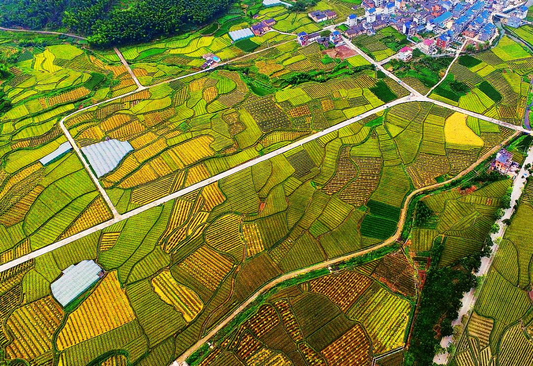 金竹最新規(guī)劃發(fā)布，開啟學(xué)習(xí)新篇章，培養(yǎng)自信與成就感的源泉