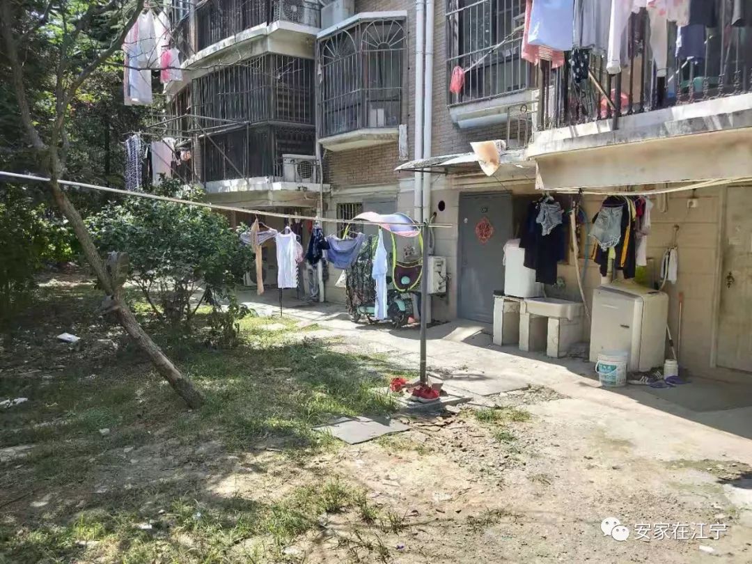 最新大雜亂時代，混沌與秩序的重建之路