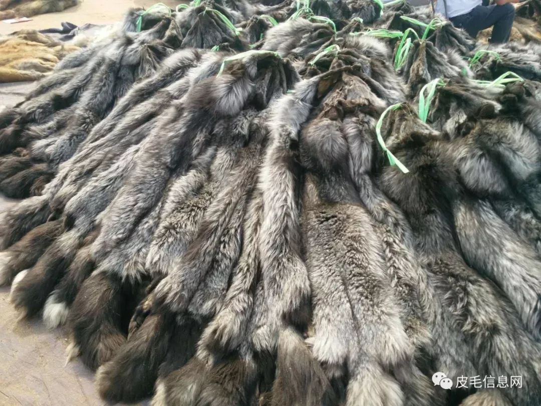 貉皮尚村最新價格，小巷中的時尚皮草寶藏探索