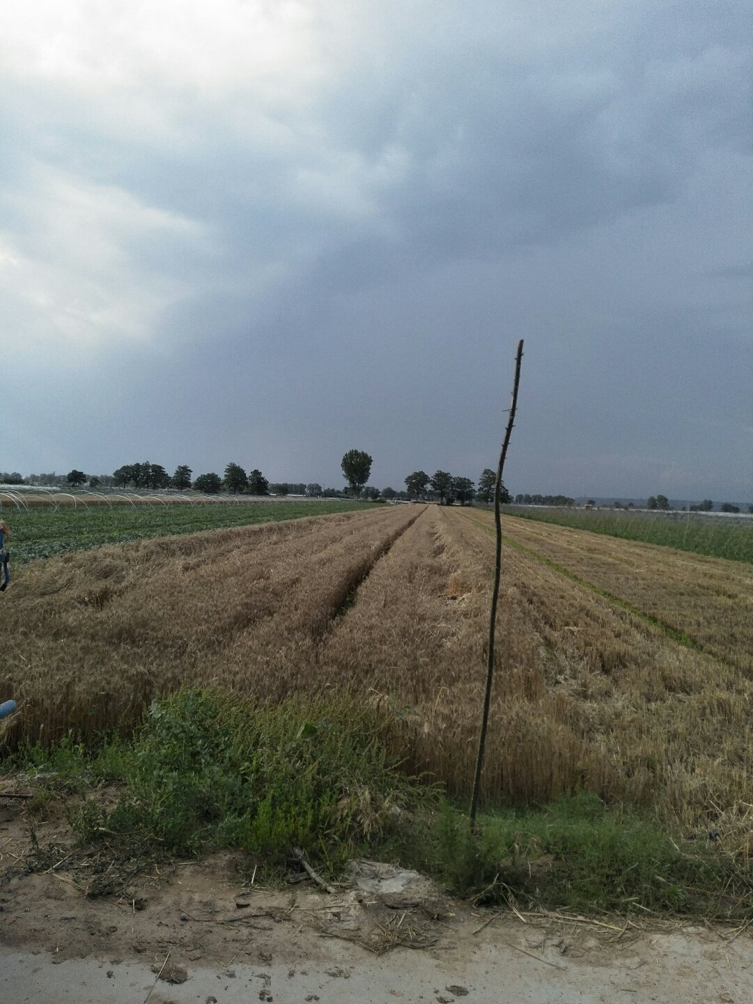 蒲城天氣預(yù)報(bào)，暖陽下的友情時(shí)光