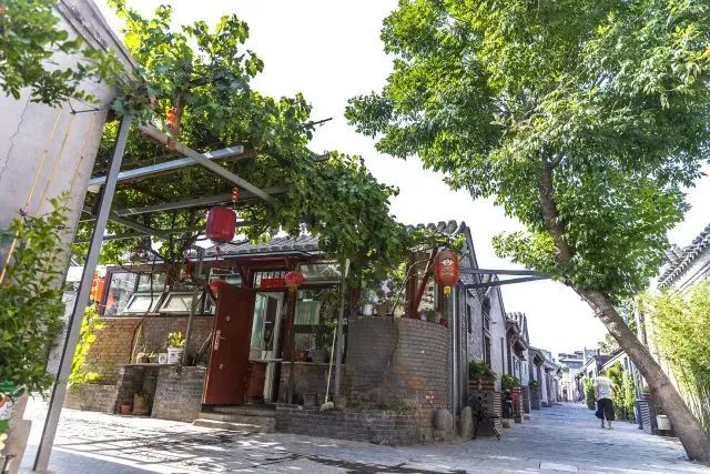 草社區(qū)美食探險之旅，探尋小巷中的隱藏寶藏與最新地址揭秘