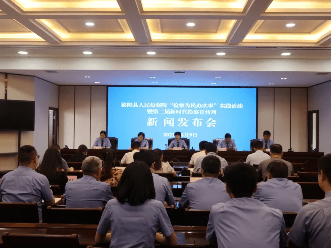 泌陽新聞最新動態(tài)，多元視角下的觀察與思考