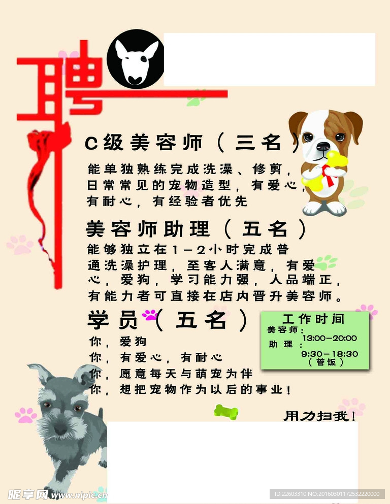 寵物店招聘最新動態(tài)，共探自然之美，尋求內(nèi)心寧靜