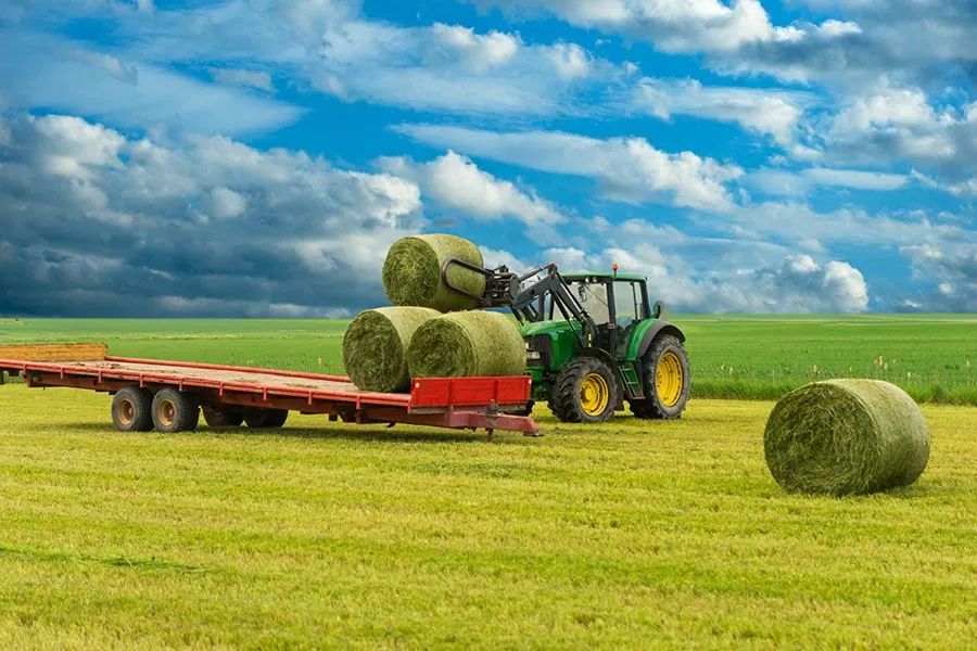 農(nóng)業(yè)最新動態(tài)，時代的脈搏與綠色希望共舞