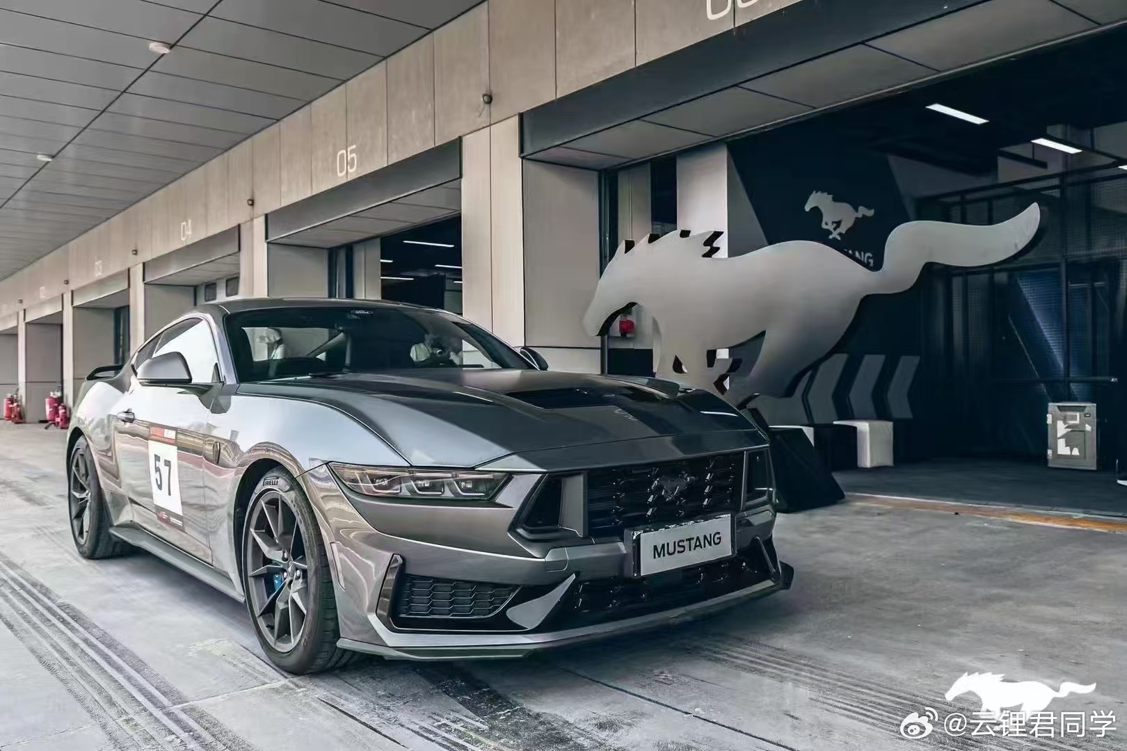 野馬擼最新動態(tài)，駕馭變化，自信成就夢想之旅