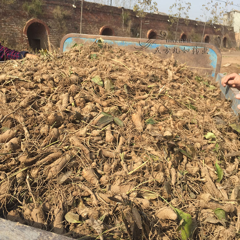 運(yùn)動(dòng)場(chǎng)館燈具 第140頁(yè)