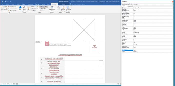 Flash Player官方最新版下載，探索小巷寶藏與特色小店的奇妙之旅