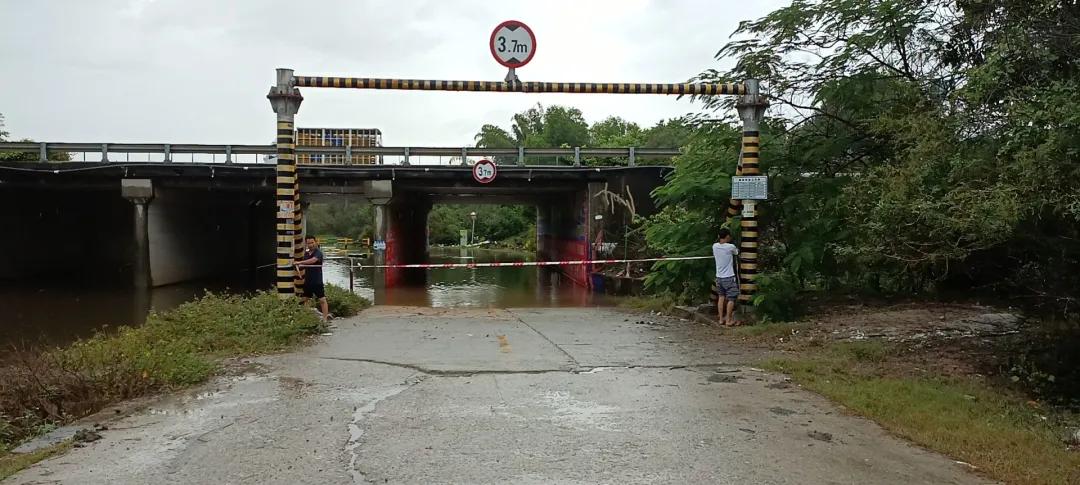 惠陽臺(tái)風(fēng)最新消息，小巷深處的風(fēng)味秘境