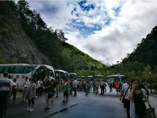 泰順高鐵最新動態(tài)更新，最新消息一覽