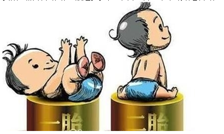 最新雙胞胎補(bǔ)助政策，攜手同行，助力孕育夢想之路