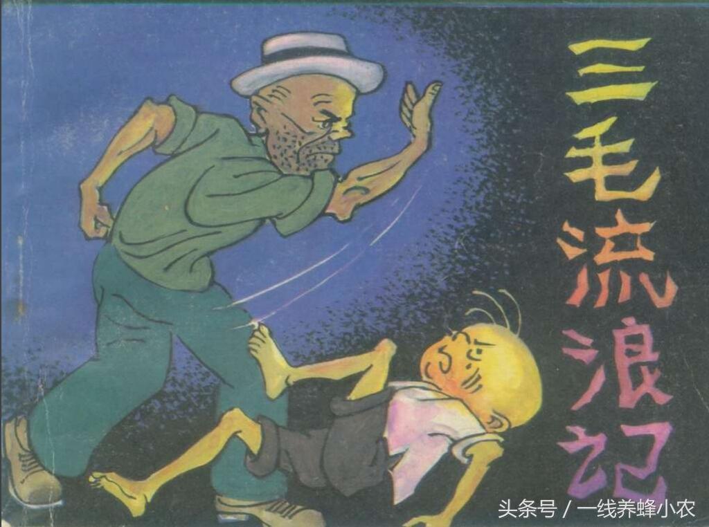 上海三毛最新動(dòng)態(tài)，自然美景探索之旅啟幕