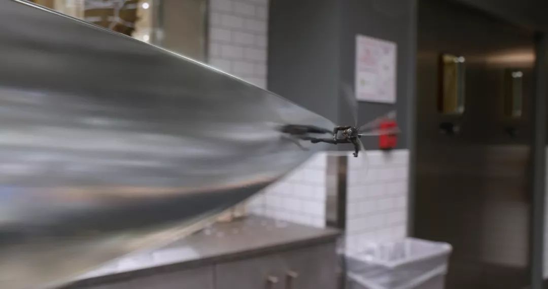 最新電泳技術(shù)，一路向前，學(xué)習(xí)成就自信之源