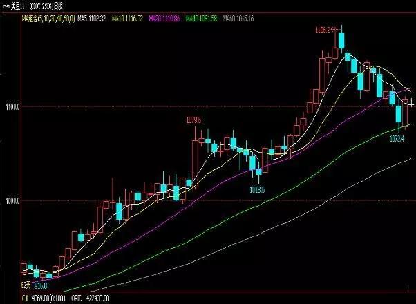豆油最新行情概覽，市場走勢分析與未來展望