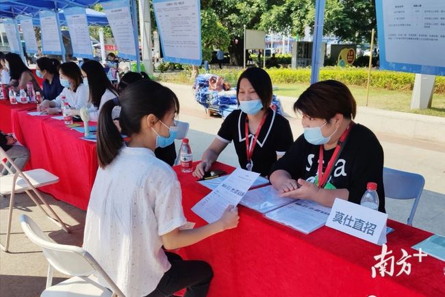 石碣最新招聘動態(tài)，把握職業(yè)機遇，共創(chuàng)美好未來之路