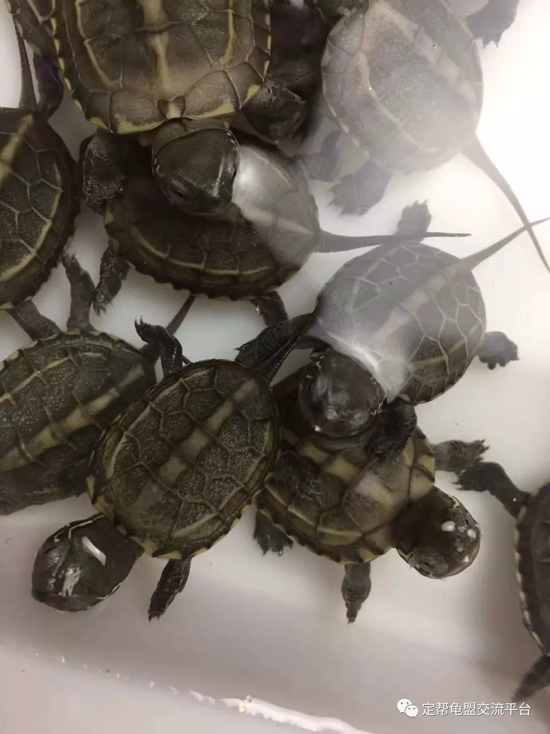 工礦燈具 第127頁(yè)