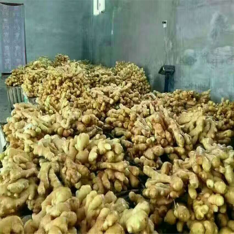 工礦燈具 第123頁