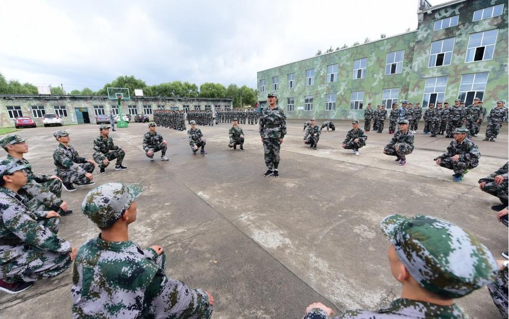 遼寧人才網(wǎng)最新招聘，時(shí)代脈搏與人才匯聚的交匯點(diǎn)