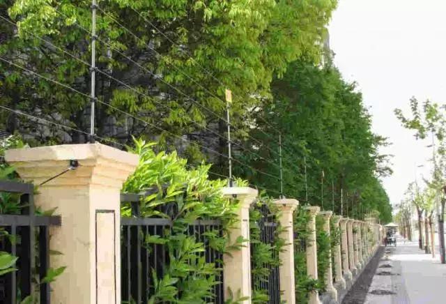 山河藥輔最新動(dòng)態(tài)，引領(lǐng)醫(yī)藥行業(yè)新篇章