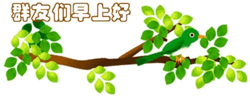 最新清晨祝福短信，晨曦中的溫暖問候，傳遞美好祝愿與關(guān)懷