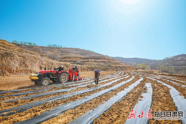 秦安最新新聞，城市溫情日常溫馨小事報道
