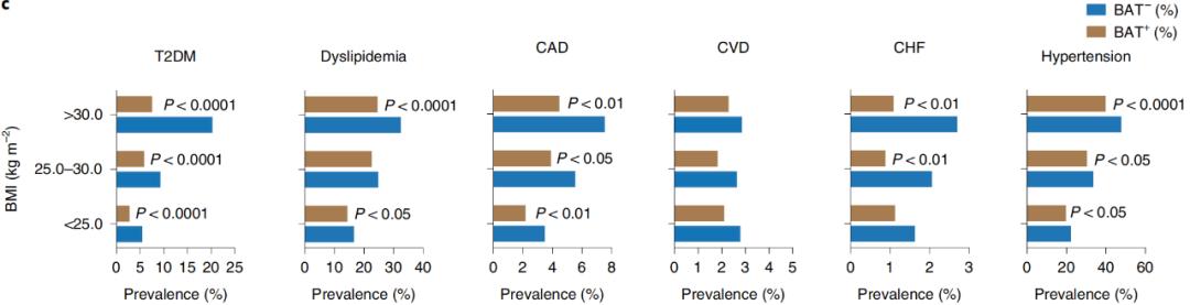 腦疾病最新研究，重塑大腦信心與成就感之路