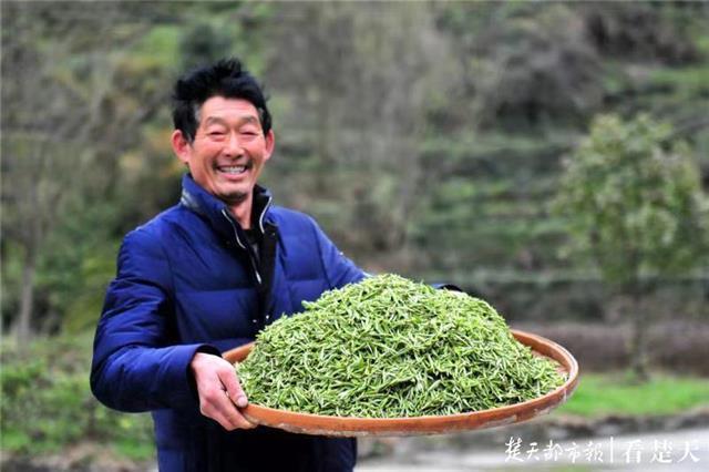 最新夷陵新聞，探索自然美景的旅程，尋覓內(nèi)心平和之地