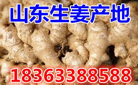 鮮姜最新價格揭秘，自然美景背后的旅行探索之旅