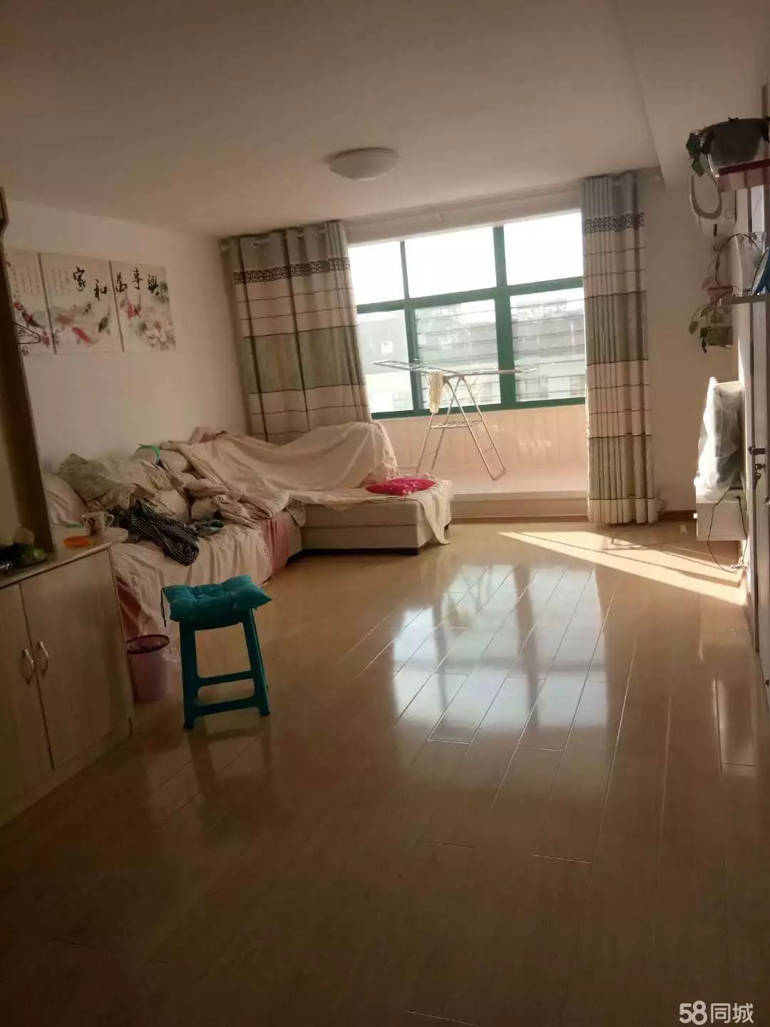 萊西最新個人租房，窗外世界與自我成長的旅程