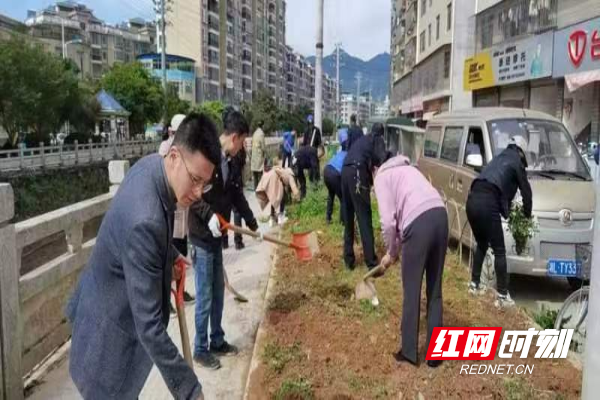 桂東最新新聞報(bào)道