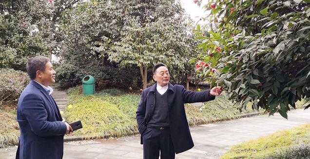 最新花木求購(gòu)，開(kāi)啟一場(chǎng)尋綠之旅的溫馨旅程