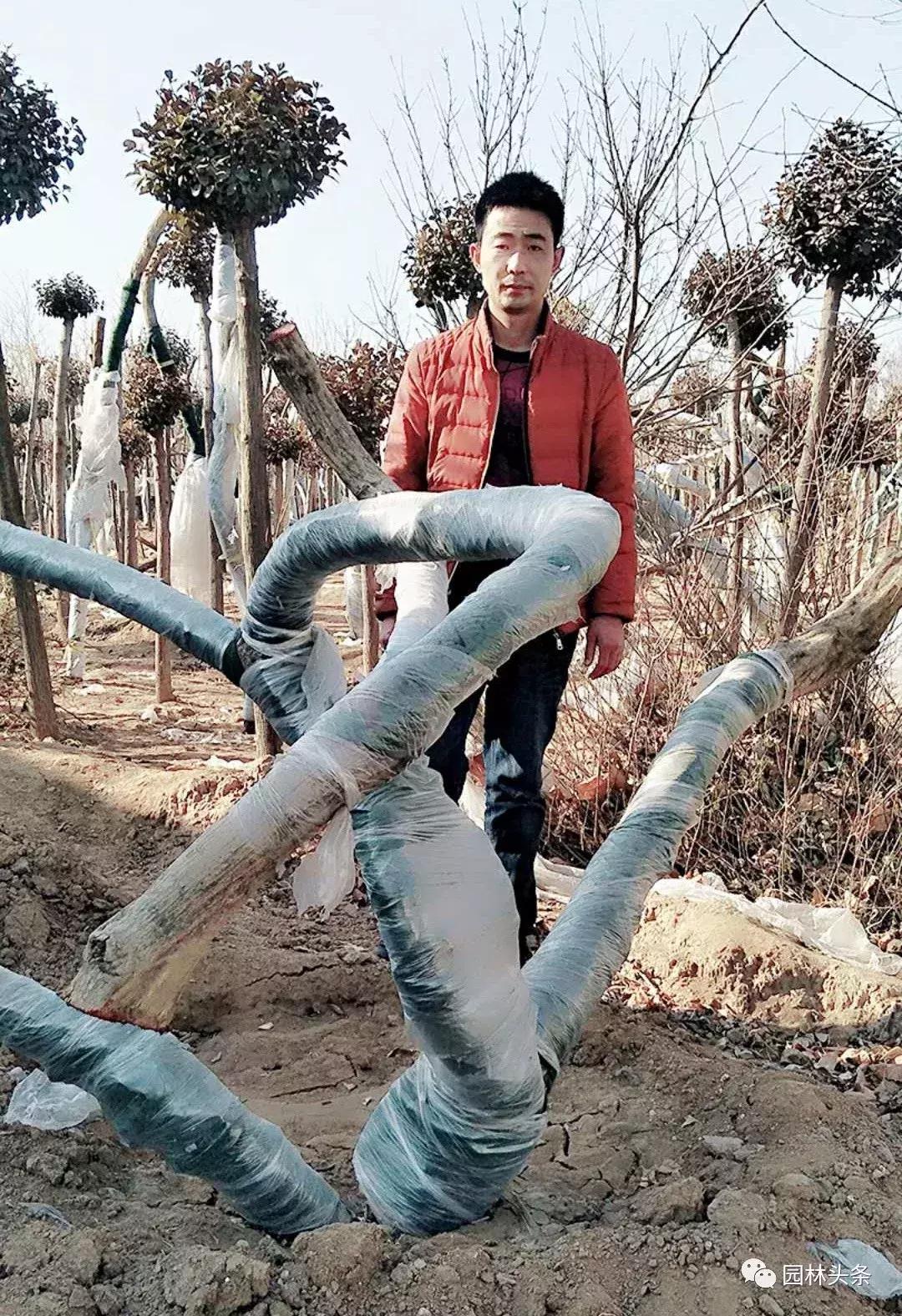 定州最新急招工，時代的呼喚與行業(yè)重塑的挑戰(zhàn)