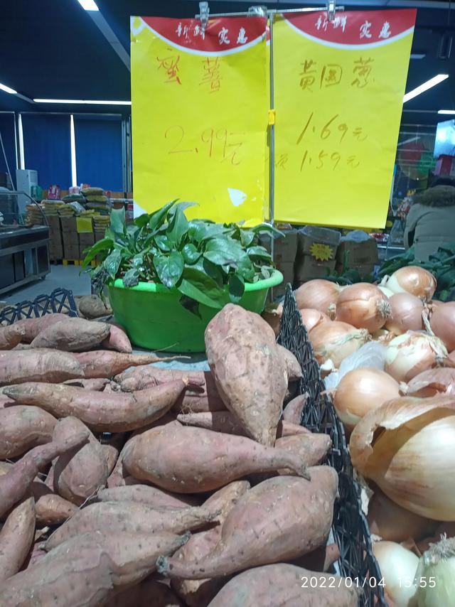 最新地瓜價格解析，查詢指南與任務(wù)攻略