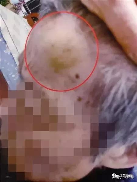 揪脖子最新視頻，探秘小巷風(fēng)情小店，獨家揭秘！