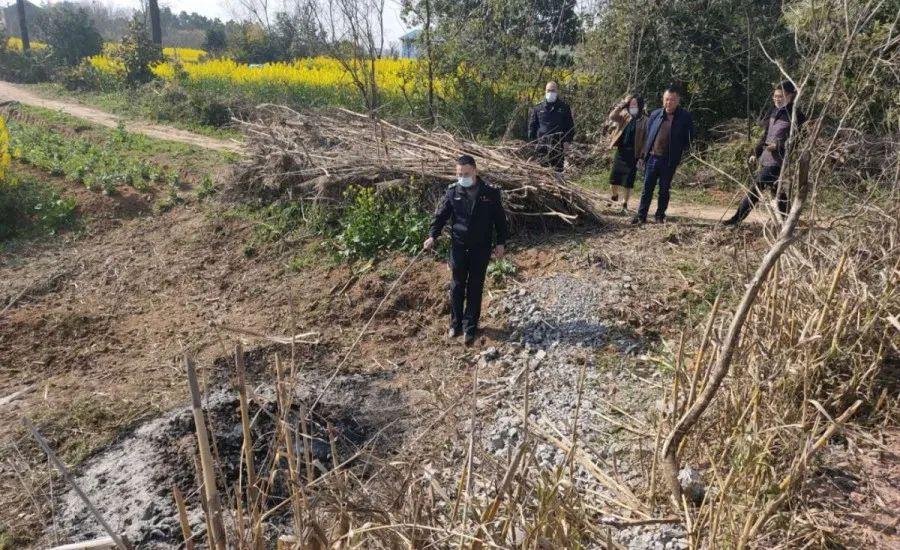 溧陽最新天氣，氣象變遷與地域影響探究