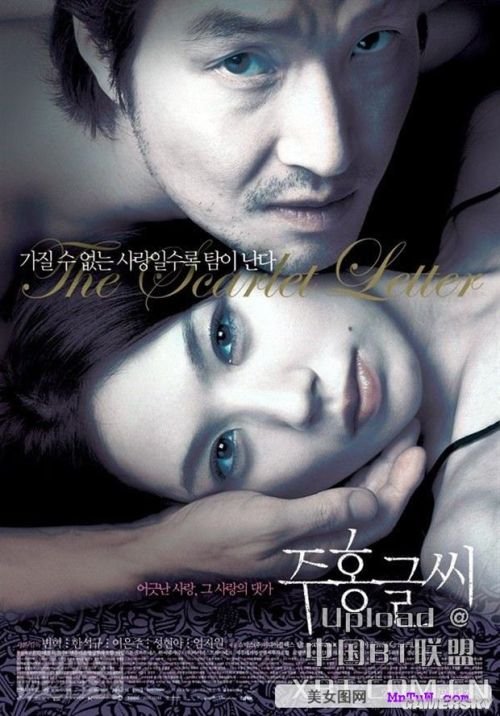 最新內(nèi)地倫理電影探索與啟示，揭示社會倫理的啟示與價(jià)值