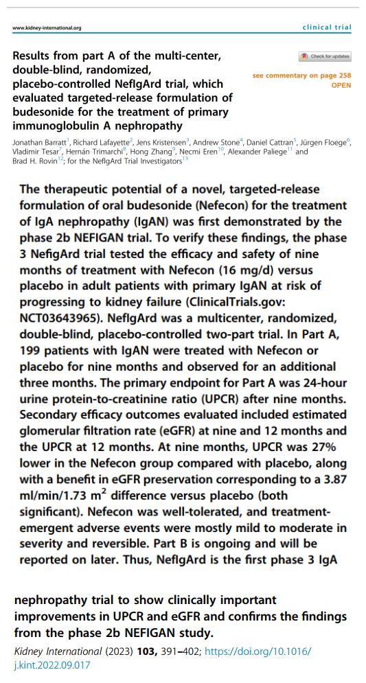 IGA腎病最新突破，醫(yī)學(xué)奇跡在小店中綻放的獨(dú)特魅力