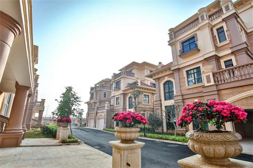 新泰最新樓盤，城市發(fā)展與居住品質(zhì)的新篇章