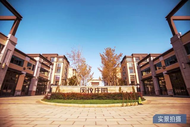 鳳儀莊園最新動態(tài)，家的溫馨與友情的綻放時刻