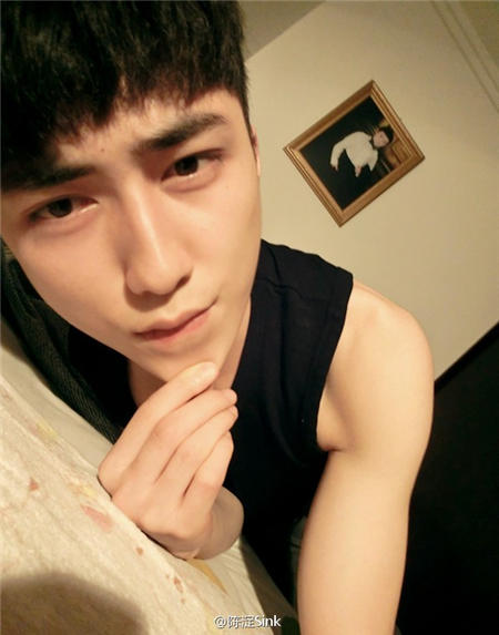 陳淀最新圖片，自然美景的探索之旅，尋覓內(nèi)心平和與喜悅的源泉