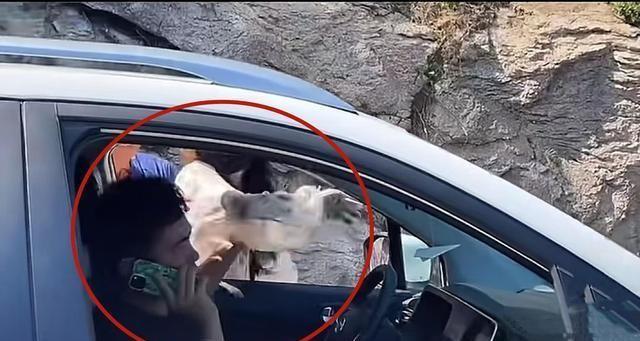 奔馳最新廣告，小明的溫情之旅啟程了