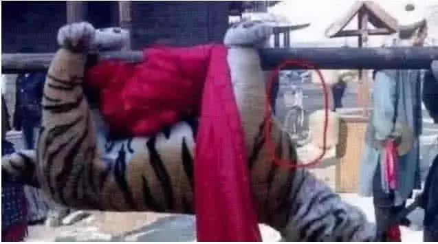 最新打虎消息，探尋內心平靜的打虎之旅