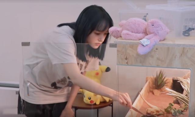 程瀟最新綜藝節(jié)目，心動瞬間，不容錯過！?