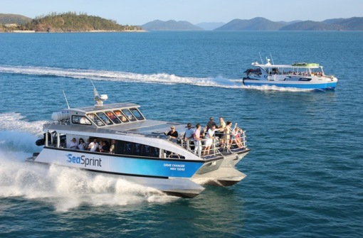 時(shí)代背景下的璀璨星辰，最新號(hào)號(hào)天堂綜述