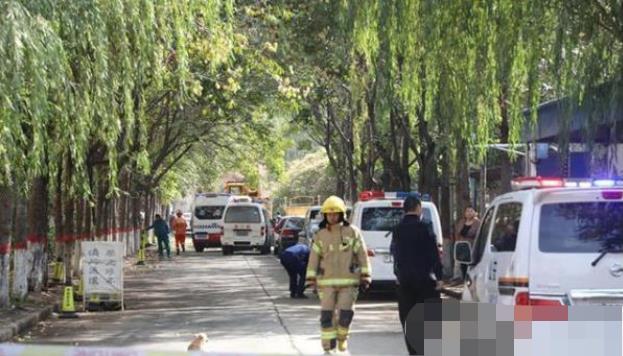 安陽(yáng)最新事件，溫馨日常與不期而遇的友情之旅